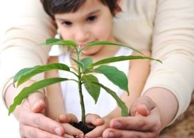 Gyermekkori lázas állapot: mit tegyen a szülő?