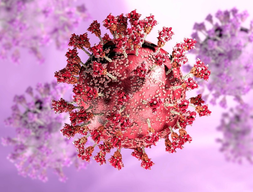 Románia omikron vírustörzs megjelenése