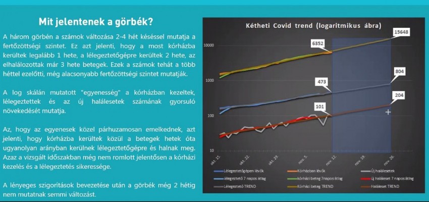 koronavírus, covid, lélegeztetőgép, halál