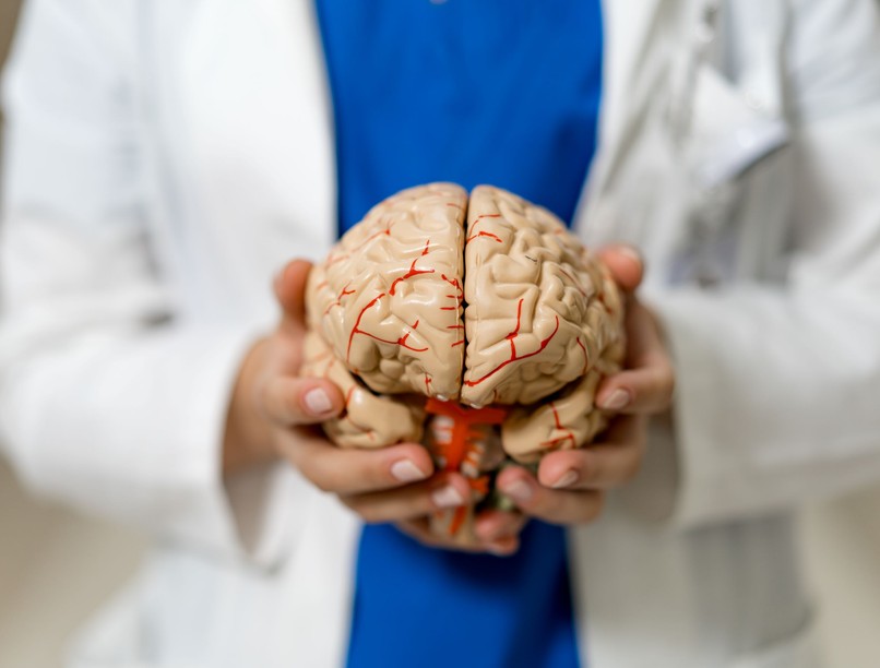 agy kutatás öregedés fordulópont