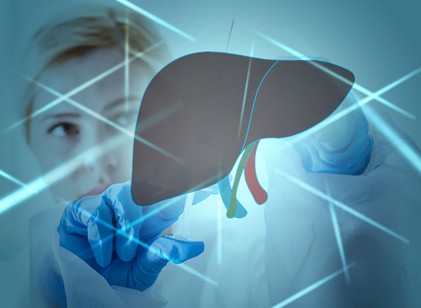 Ultrahanggal kideríthető-e a magas májenzimek oka - mikor igen, mikor nem? című cikk nyitóképe