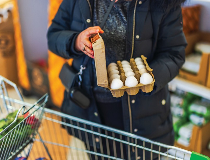 shutterstock 2563923087