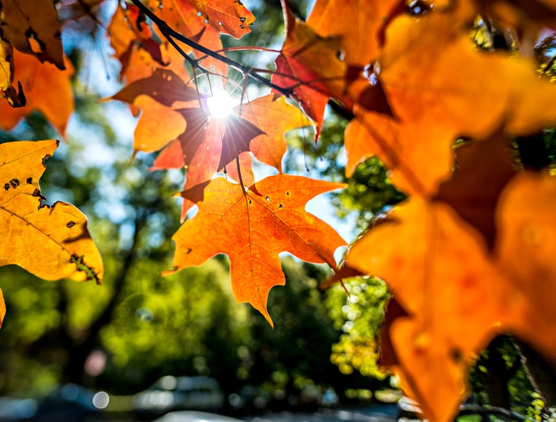 ősz, orvosmeteorológia, vénasszonyok nyara, front