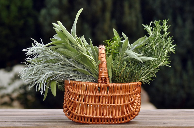 Új remény az Alzheimer-kór ellen: népszerű fűszernövények titkaira derült fény