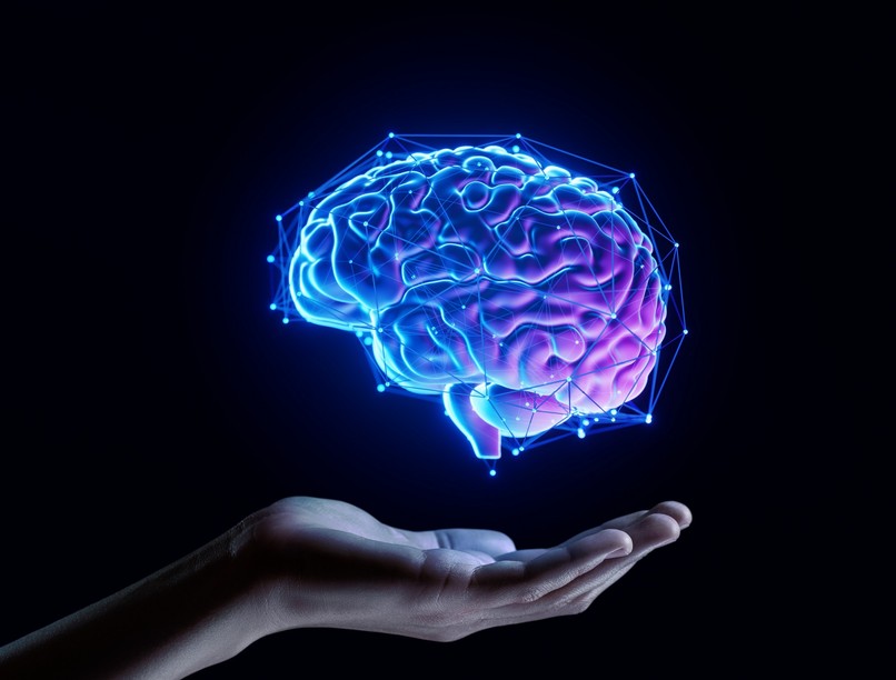 agykutatás, hete, budapest