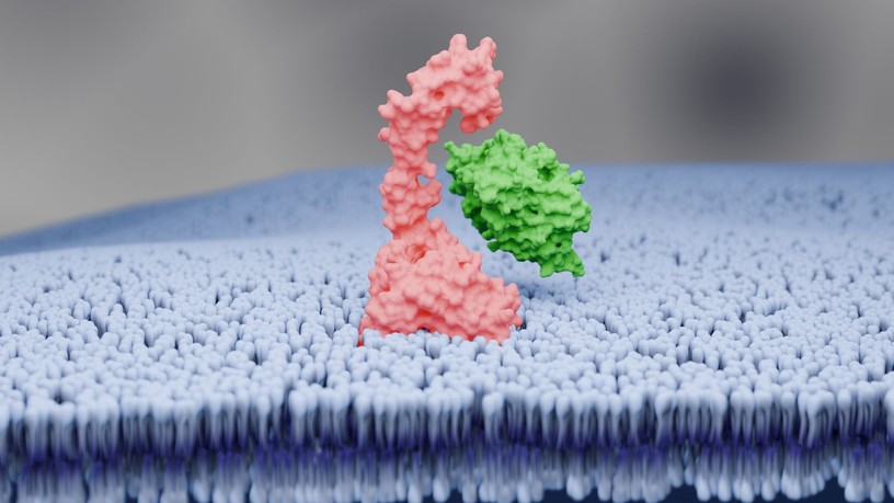 gyógyszeres kezelés PCSK9-gátlók alkalmazása