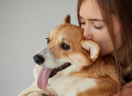 Kutyapuszik és ölelgetés – Milyen betegségeket kaphat el a kutyájától? című cikk nyitóképe
