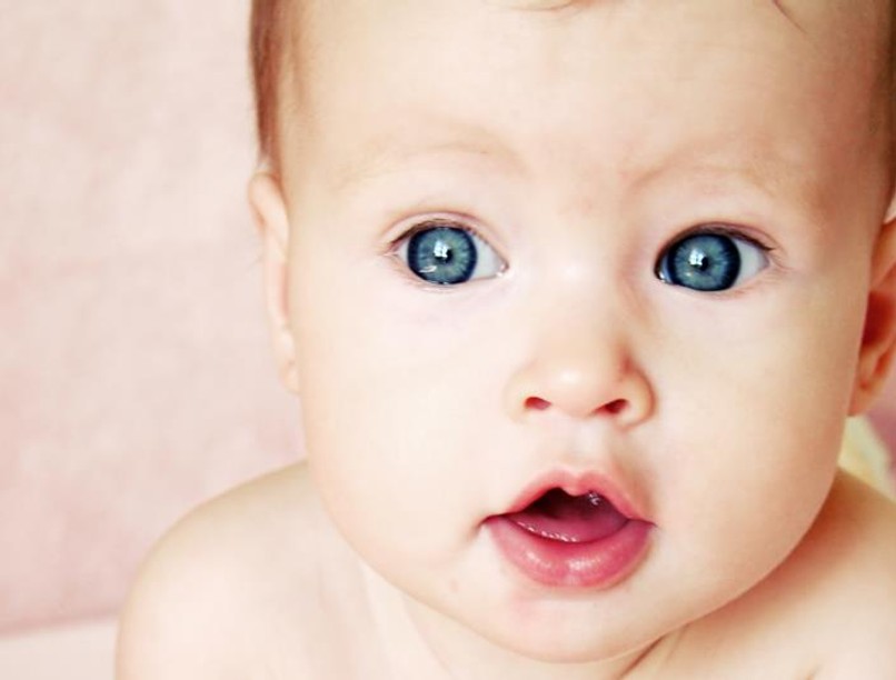 shutterstock_9255049_wm800_0