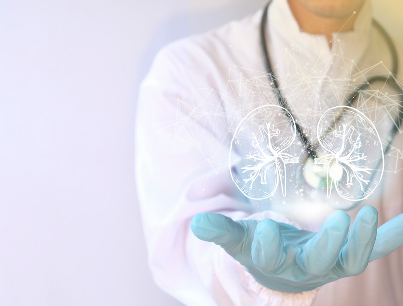 Magyar kutatók vesebetegség, transzplantáció