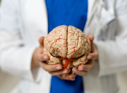 Öt korszakon megy át az emberi agy – a tudósok szerint ezek az életünk igazi fordulópontjai című cikk nyitóképe