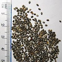 Glutén-, tej- és tojásmentes vitaminbomba!