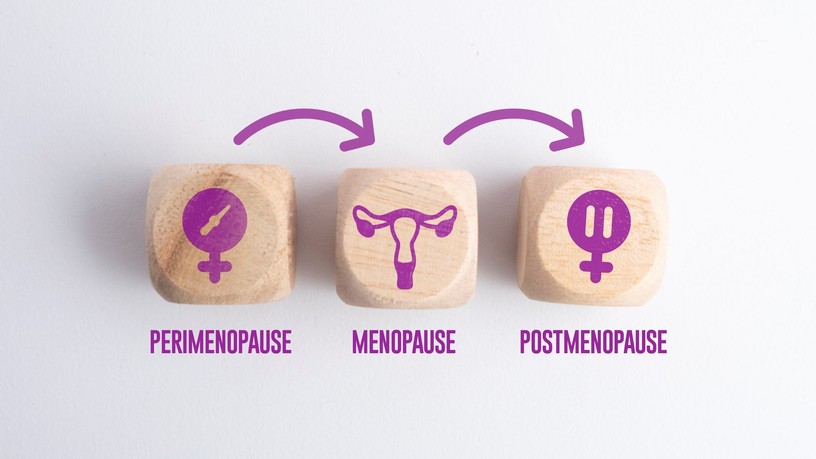 menopauza hormonváltozás-petefészek-szerepe