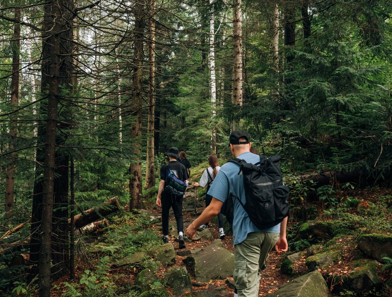 tavasz, kirándulás, visz, pakol, kullancs