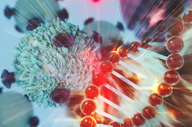 Rákgyógyítás: az elhízás rontja, a mozgás javítja az esélyeket