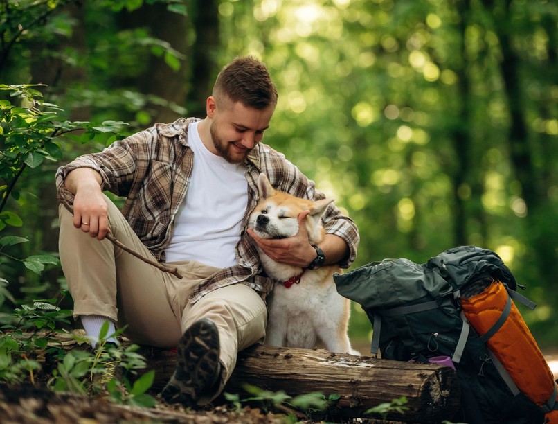kirándulás kutya mire kell figyelni elsősegély