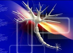 Az alvás újratölti az idegrostokat!