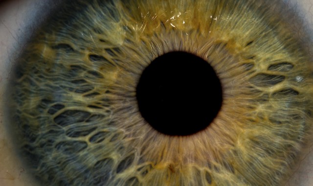 Betegvizsgálatok: a szem és függelékei vizsgálata