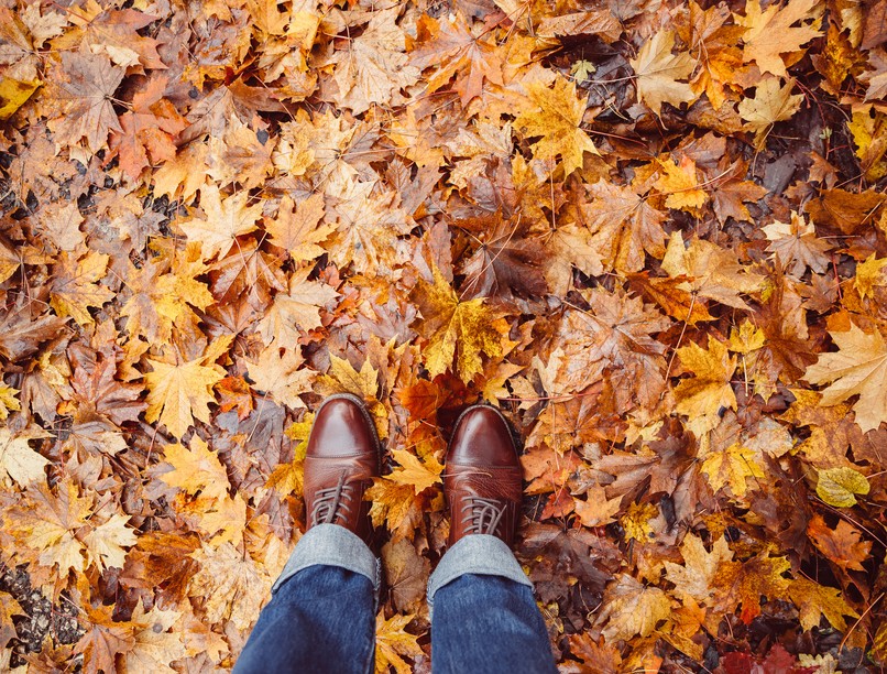 orvosmeteorológia, front, fejfájás, ízületi fájdalom