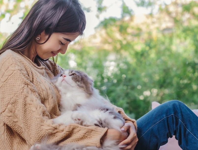macska dorombolás gyógyító hatás stressz