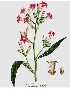 10 tipp és tanács a leszokáshoz