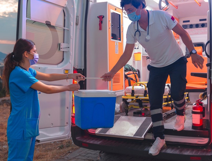 szervátültetés transzplantáció kezelés leírás