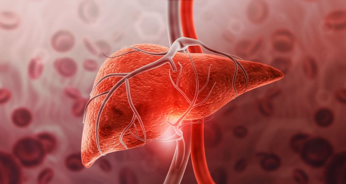 Mennyi idő alatt regenerálódik a máj? A válasz meglepőbb, mint gondolná című cikk nyitóképe