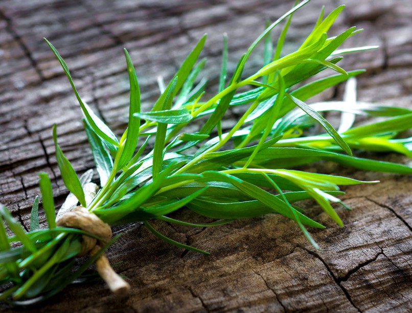 tárkony, puffadás, gyomorpanasz, emésztés