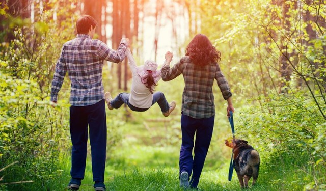 Kullancscsípés: így lehet megelőzni a bajt