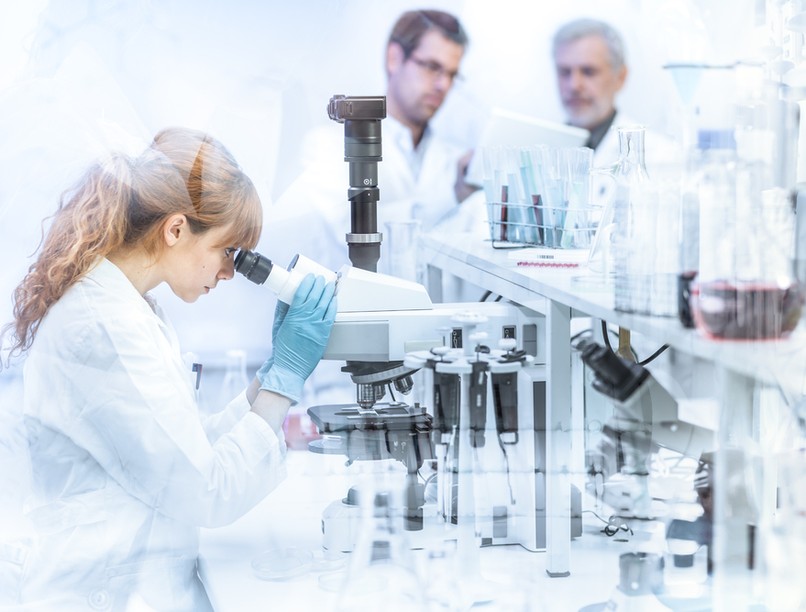 kutatás orvos agykutatás neurológia tudomány tanulás