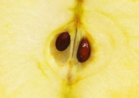 Irány a zöldséges! (Harcban az Alzheimer-betegséggel)