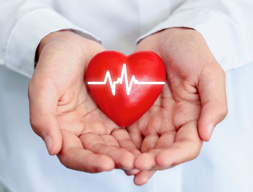 szív vért pumpál szerv érdekesség