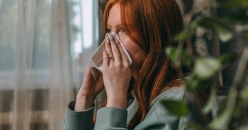 Miért okozhat évről évre súlyosabb tüneteket a parlagfű allergia?