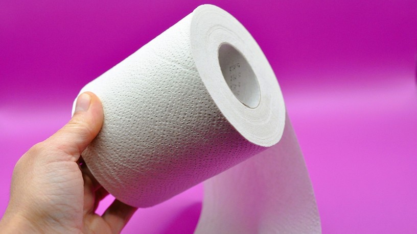 WC-papír trükk tipp szúnyog ellen