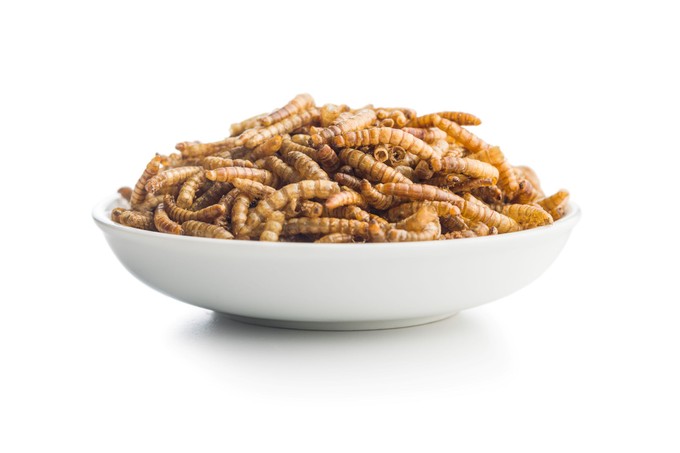 Galandféreg, bórax és káposztaleves – a történelem legbizarrabb méregtelenítő kúrái című cikk nyitóképe