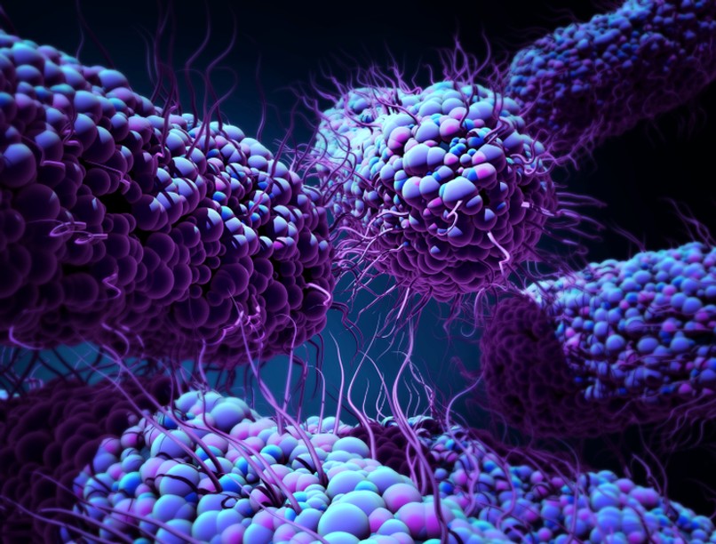 antibiotikumok, rezisztens baktériumok, antibiotikum-rezisztencia, antibiotikum-rezisztens