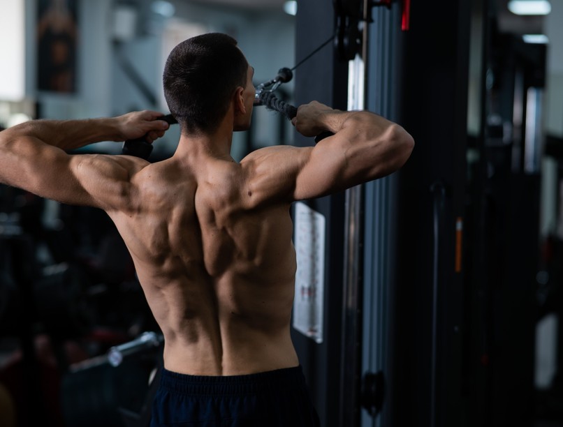 legerősebb izom ember test nyelv