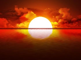 Génmutáció - A Melanóma nyomában