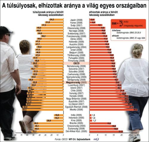 Elhízás, túlsúly: hol állunk a világban?