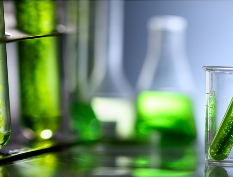 alga, mikroalga, vitamin, nyomelem, étrend, fehérjepótlás, élelmiszer