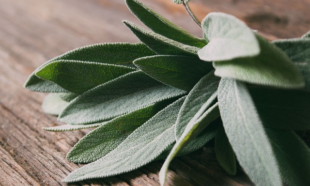 Mire jó a zsálya? Ezért érdemes rendszeresen fogyasztani