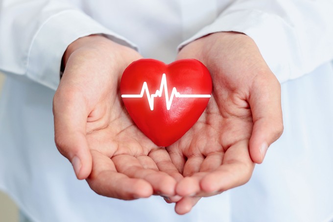 Sokkal több a szív, mint egy vért pumpáló szerv című cikk nyitóképe