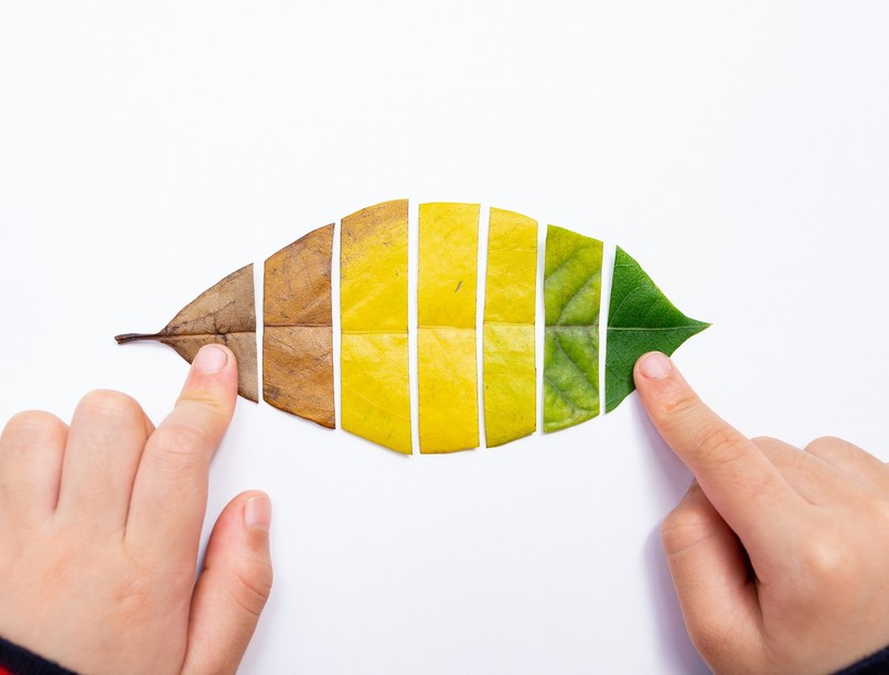 alkohol hatása biológiai életkor