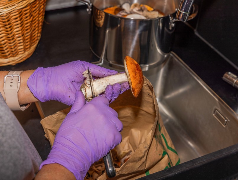 gombászás gombamérgezés, gomba pucolása