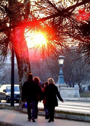 A remény léggömbjei - az SM-betegekért!