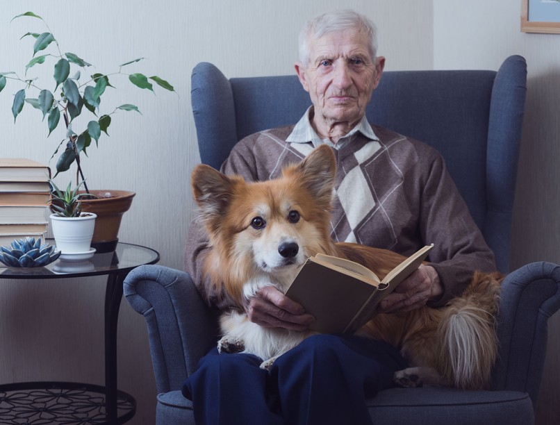 Alzheimer-kór férfi kutya