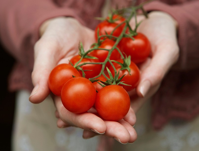 paradicsom, egészség