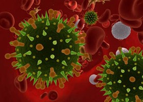 Hong-Kong: egyedi eset volt a madárinfluenza!