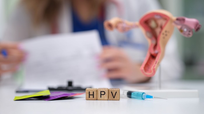 Negatív HPV teszt után mikor kell újra szűrés? A nőgyógyász válaszol című cikk nyitóképe