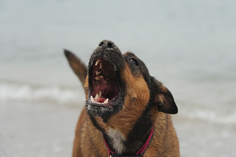 10 percenként egy ember halálát okozza ez a vírus