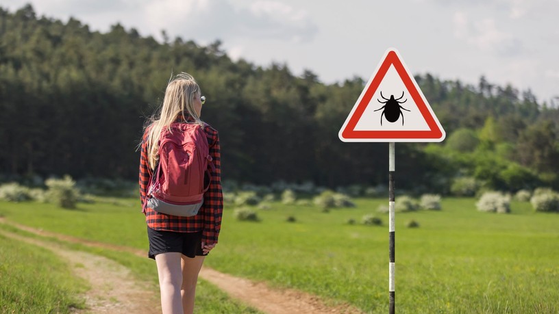 fertőző betegségek új kullancs fertőzés ehrlichiosis